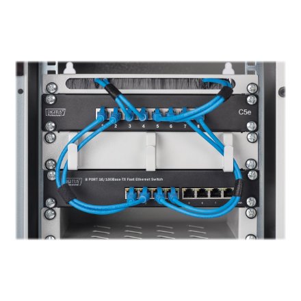 Digitus Wall-mounted housing 254 mm (10) , DN-10-09U , 31.2 x 30 cm , Grey