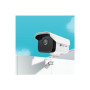 VIGI C300 Series C300HP-6 - V1 - network surveillance camera TP-LINK