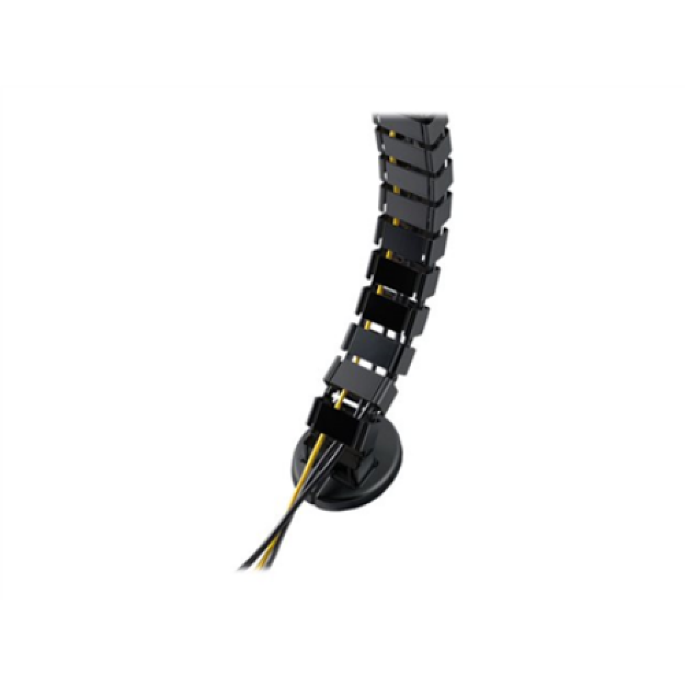 Digitus