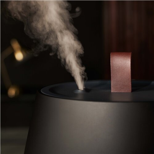 Duux , Humidifier Gen2 , Tag , Ultrasonic , 12 W , Water tank capacity 2.5 L , Suitable for rooms up to 30 m² , Ultrasonic , Humidification capacity 250 ml/hr , Black