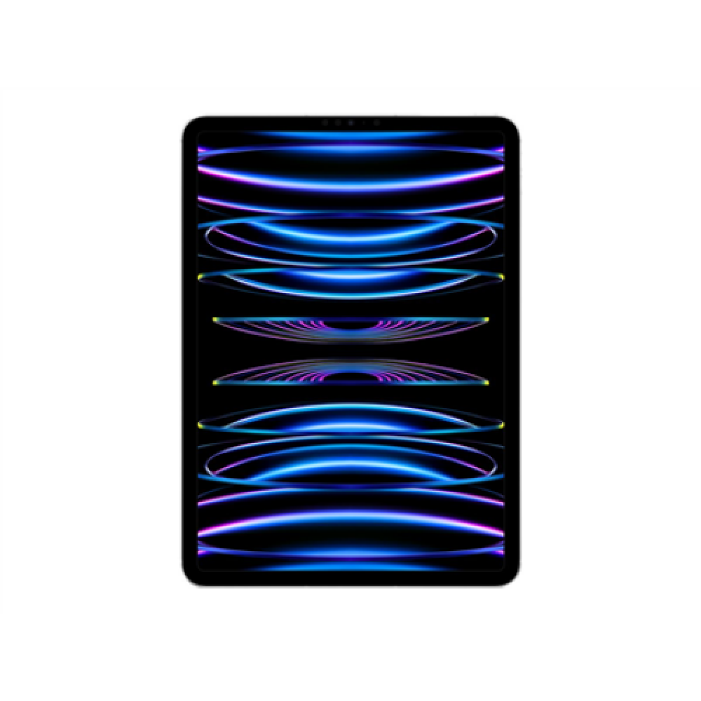 iPad Pro 11 Wi-Fi + Cellular 2TB - Silver 4th Gen Apple