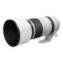 Canon LENS RF100-500MM F4.5-7.1 L IS USM , Canon