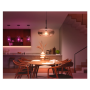 Philips Hue WCA 1600 A67 1P EU , E27 , 11.8 W , White and colour light , Bluetooth and Zigbee