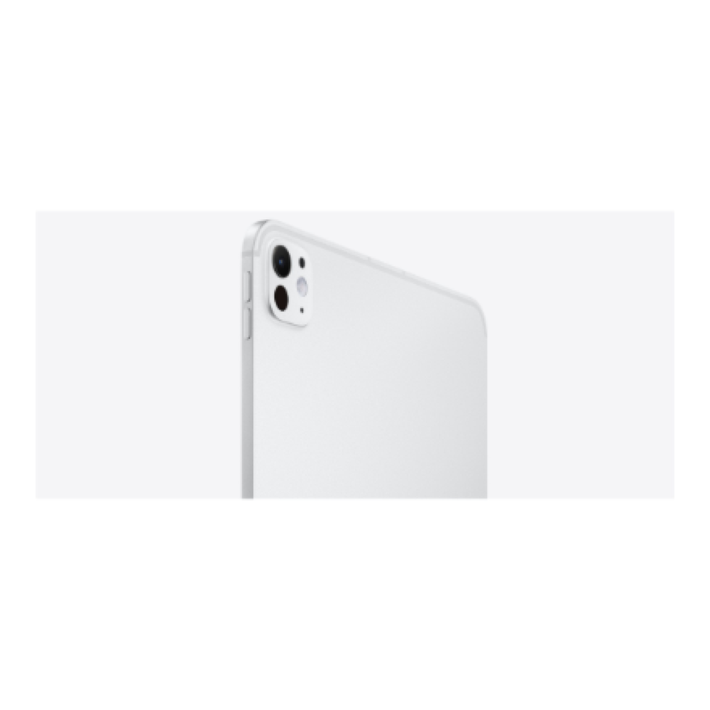 Apple iPad Pro 11 M4 Wi-Fi + Cellular 1TB with Standard glass - Silver , Apple