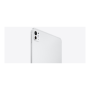 Apple iPad Pro 11 M4 Wi-Fi + Cellular 1TB with Standard glass - Silver , Apple