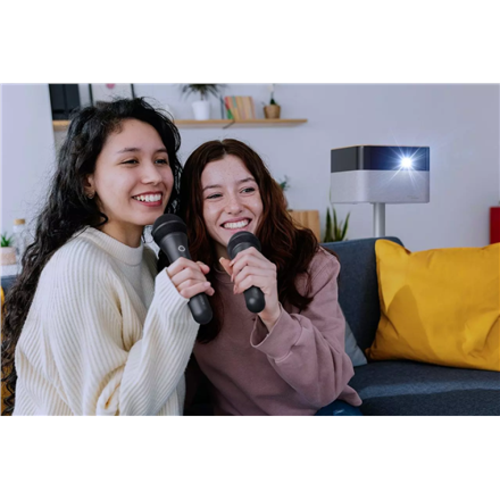 Epson Wireless Karaoke Microphone Pair , ELPKM01