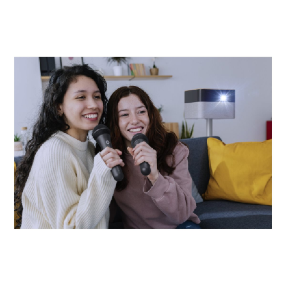 Epson Wireless Karaoke Microphone Pair , ELPKM01