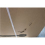 SALE OUT. Xiaomi Electric Scooter 6 Lite GL , Xiaomi 24 month(s) , DAMAGED PACKAGING