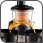 TEFAL , Slow Juicer , ZC255B38 , Type Electric , Silver/ black , 200 W , Extra large fruit input , Number of speeds 2 , 82 RPM