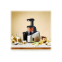 TEFAL , Slow Juicer , ZC255B38 , Type Electric , Silver/ black , 200 W , Extra large fruit input , Number of speeds 2 , 82 RPM