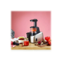 TEFAL , Slow Juicer , ZC255B38 , Type Electric , Silver/ black , 200 W , Extra large fruit input , Number of speeds 2 , 82 RPM