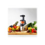 TEFAL , Slow Juicer , ZC255B38 , Type Electric , Silver/ black , 200 W , Extra large fruit input , Number of speeds 2 , 82 RPM