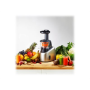 TEFAL , Slow Juicer , ZC255B38 , Type Electric , Silver/ black , 200 W , Extra large fruit input , Number of speeds 2 , 82 RPM