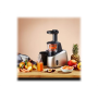 TEFAL , Slow Juicer , ZC255B38 , Type Electric , Silver/ black , 200 W , Extra large fruit input , Number of speeds 2 , 82 RPM