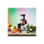 TEFAL , Slow Juicer , ZC255B38 , Type Electric , Silver/ black , 200 W , Extra large fruit input , Number of speeds 2 , 82 RPM
