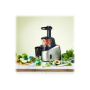 TEFAL , Slow Juicer , ZC255B38 , Type Electric , Silver/ black , 200 W , Extra large fruit input , Number of speeds 2 , 82 RPM
