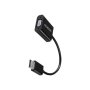 AXAGON , RVD-VGN DisplayPort - VGA Adapter , 0.15 m