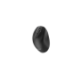 Gembird Dual-mode mouse , MUSW2-6B-02 , Wireless , 2.4G, Bluetooth , Black
