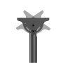 Neomounts CL35-440BL16L Monitor/TV Mount Ceiling , Adjustable Height, Rotate, Tilt, Swivel , 37-70 , Maximum weight (capacity) 50 kg , Black