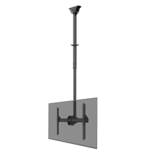 Neomounts CL35-440BL16L Monitor/TV Mount Ceiling , Adjustable Height, Rotate, Tilt, Swivel , 37-70 , Maximum weight (capacity) 50 kg , Black