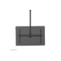 Neomounts CL35-440BL16L Monitor/TV Mount Ceiling , Adjustable Height, Rotate, Tilt, Swivel , 37-70 , Maximum weight (capacity) 50 kg , Black