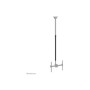 Neomounts CL35-440BL16L Monitor/TV Mount Ceiling , Adjustable Height, Rotate, Tilt, Swivel , 37-70 , Maximum weight (capacity) 50 kg , Black