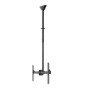 Neomounts CL35-440BL16L Monitor/TV Mount Ceiling , Adjustable Height, Rotate, Tilt, Swivel , 37-70 , Maximum weight (capacity) 50 kg , Black