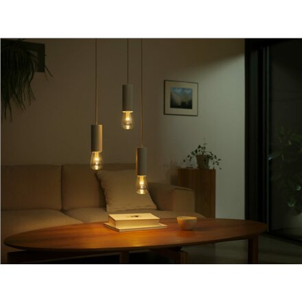 Philips Hue WCA Lightguide ST72 , E27 , 6.8 W , White and colour light