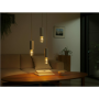 Philips Hue WCA Lightguide ST72 , E27 , 6.8 W , White and colour light