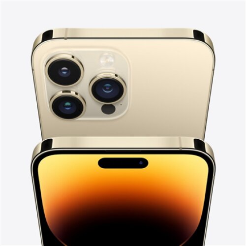 Apple iPhone 14 Pro Max Gold, 6.7 , LTPO Super Retina XDR OLED, 2796 x 1290 pixels, Apple, A16 Bionic, Internal RAM 6 GB, 1000 GB, Dual SIM, Nano-SIM, 4G, 5G, Main camera 48+12+12 MP, Secondary camera 12 MP, iOS, 16, 4323 mAh