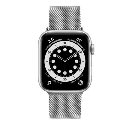Fixed , Mesh Strap for Apple Watch 38/40/41mm , Silver