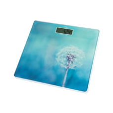 ETA Personal Scales , ETA178090040 Breeze , Maximum weight (capacity) 180 kg , Accuracy 100 g , Blue