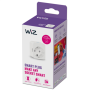 WiZ , Smart WiFi Plug