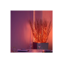 Twinkly,Dots Smart LED Lights 60 RGB (Multicolor), USB Powered, 3m, Black,RGB – 16M+ colors