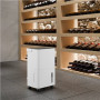 Duux , Smart Dehumidifier , Bora , Suitable for rooms up to 30 m² , Water tank capacity 1.7 L , White