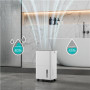 Duux , Smart Dehumidifier , Bora , Suitable for rooms up to 30 m² , Water tank capacity 1.7 L , White