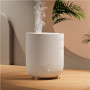 Duux , Smart Humidifier , Neo , Water tank capacity 5 L , Suitable for rooms up to 50 m² , Ultrasonic , Humidification capacity 500 ml/hr , Greige