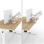 Arozzi Electric Standing Desk , Arena Nordico , Birch