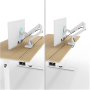 Arozzi Electric Standing Desk , Arena Nordico , Birch