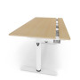 Arozzi Electric Standing Desk , Arena Nordico , Birch