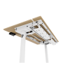 Arozzi Electric Standing Desk , Arena Nordico , Birch