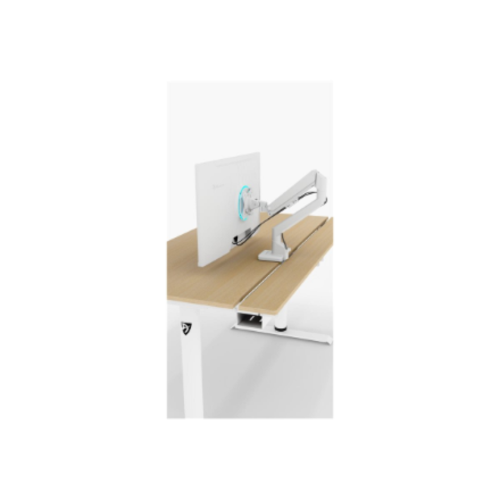 Arozzi Electric Standing Desk , Arena Nordico , Birch