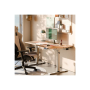 Arozzi Electric Standing Desk , Arena Nordico , Birch