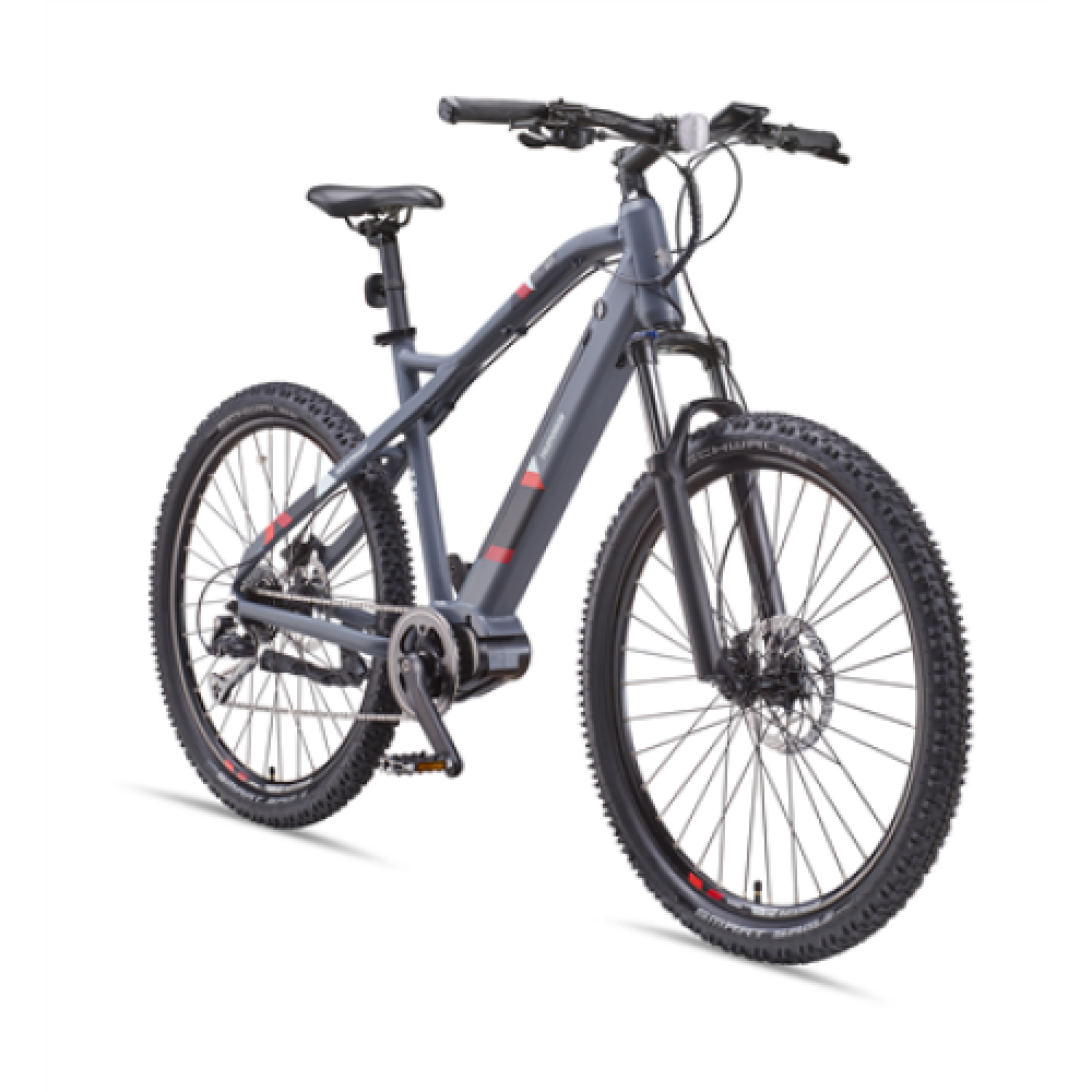 Telefunken MTB E-Bike Aufsteiger M925 29 24 month(s) Anthracite