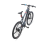 Telefunken MTB E-Bike Aufsteiger M925 29 24 month(s) Anthracite
