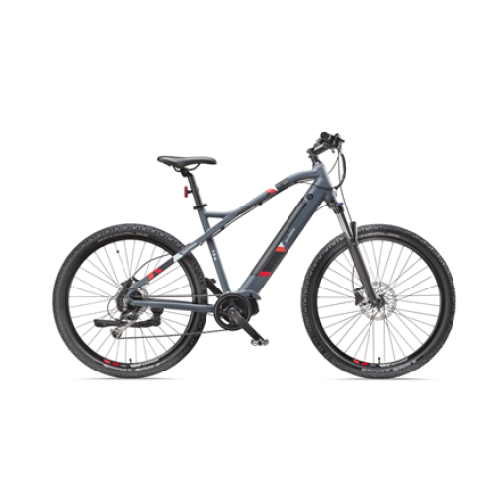 Telefunken MTB E-Bike Aufsteiger M925 29 24 month(s) Anthracite