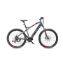 Telefunken MTB E-Bike Aufsteiger M925 29 24 month(s) Anthracite