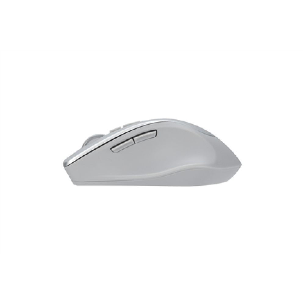 Asus WT425 MOUSE/SIL , Asus