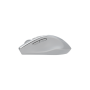 Asus WT425 MOUSE/SIL , Asus