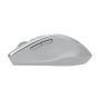 Asus WT425 MOUSE/SIL , Asus